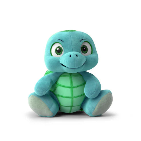Turtle Toy