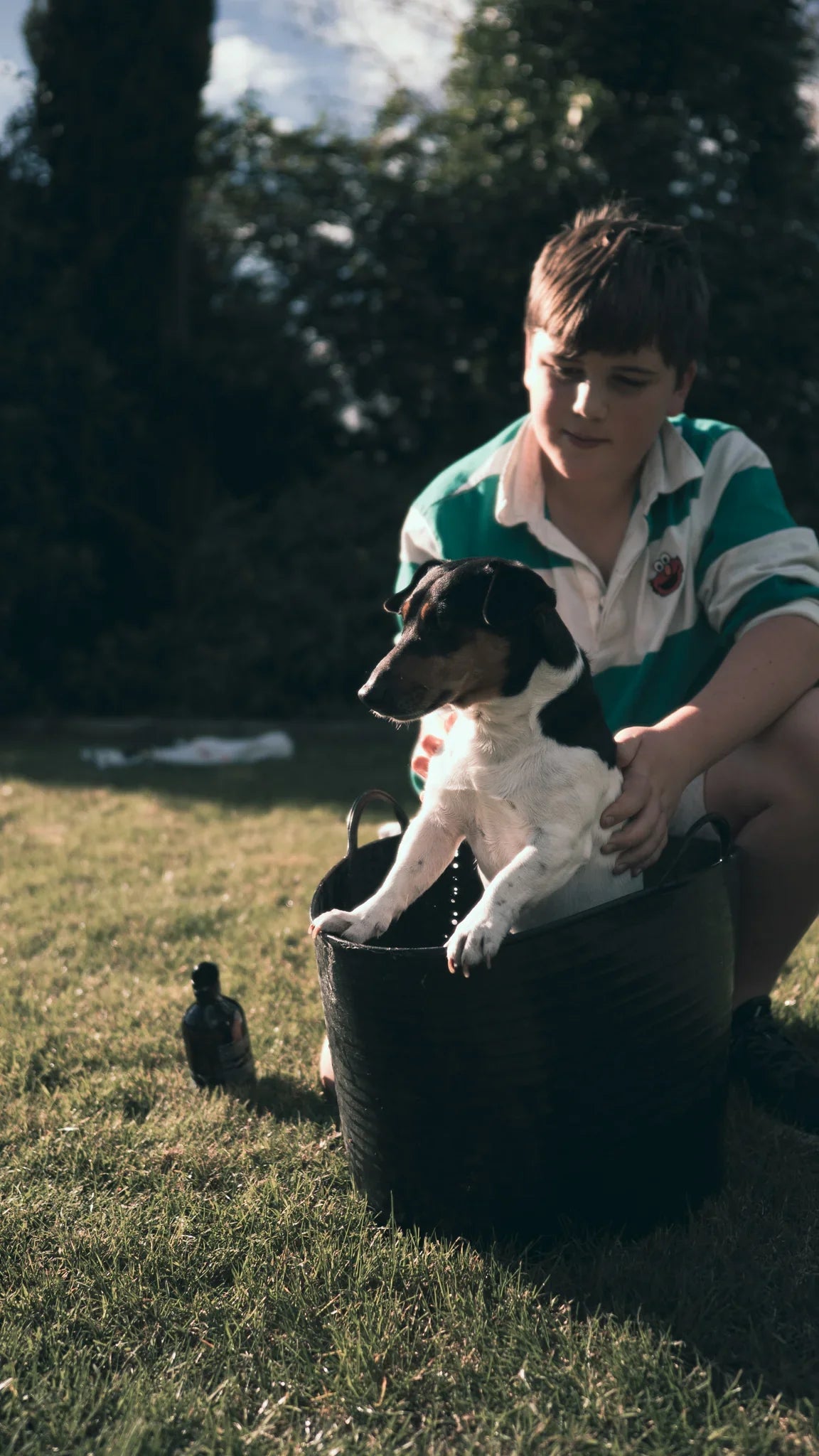 Mānuka, Kawakawa & Palmarosa Pet Wash