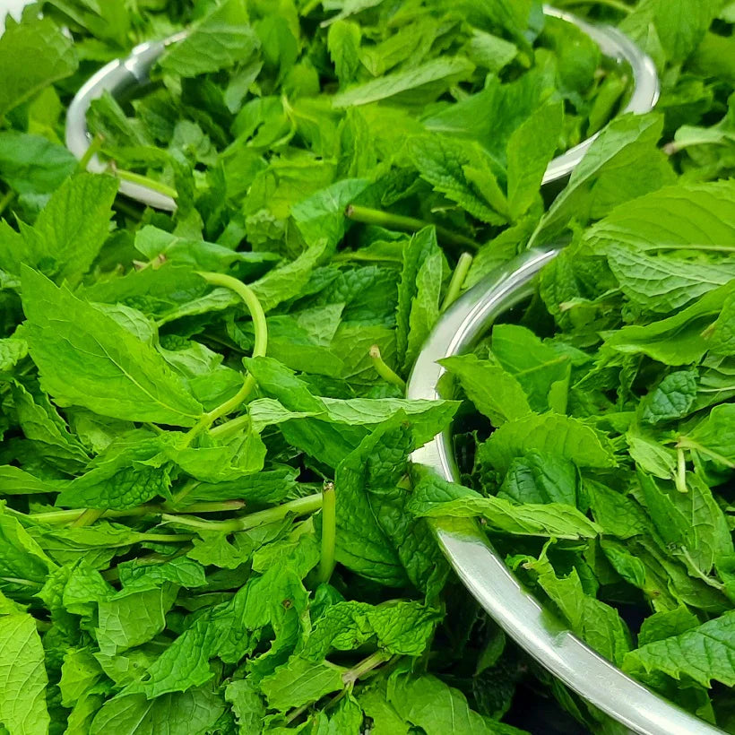 mint jelly
