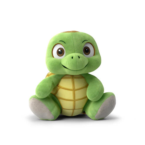 Turtle Toy